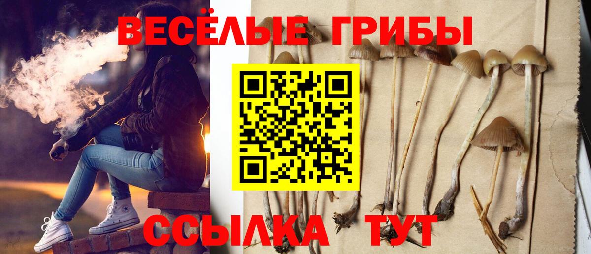 Галлюциногенные грибы ЛСД  Вход с VPN  Набережные Челны  Галлюциногенные грибы Psilocybe 